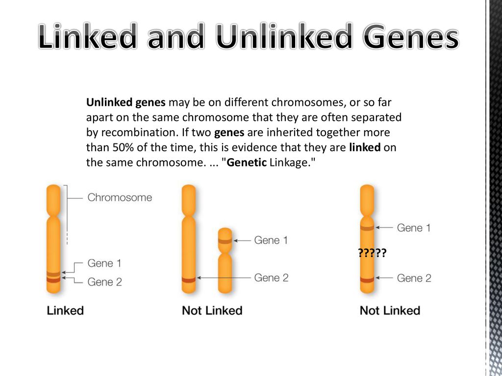 Chromosomal theory of inheritance ppt download