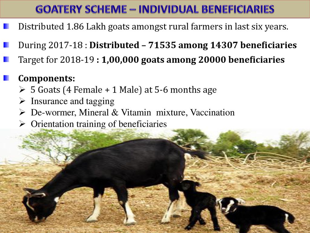 GOVERNMENT OF WEST BENGAL ANIMAL RESOURCES DEVELOPMENT DEPARTMENT - ppt  download