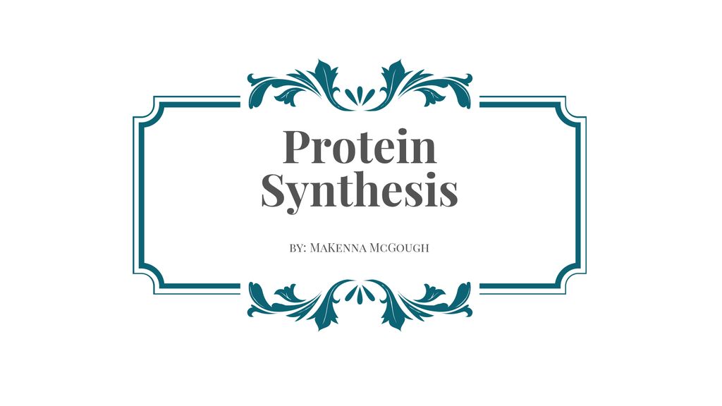 Protein synthesis by makenna mcgough ppt download