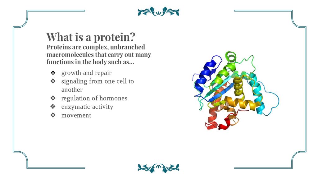 Protein synthesis by makenna mcgough ppt download