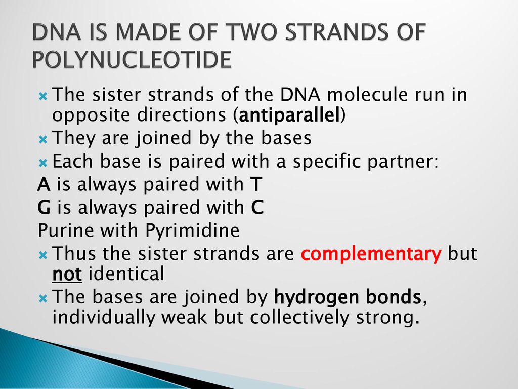 DNA IS MADE OF TWO STRANDS OF POLYNUCLEOTIDE