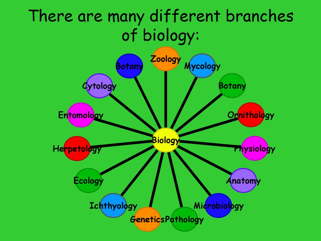 Biology Characteristics Of Life Ppt Download biology-characteristics-of-life-ppt-download