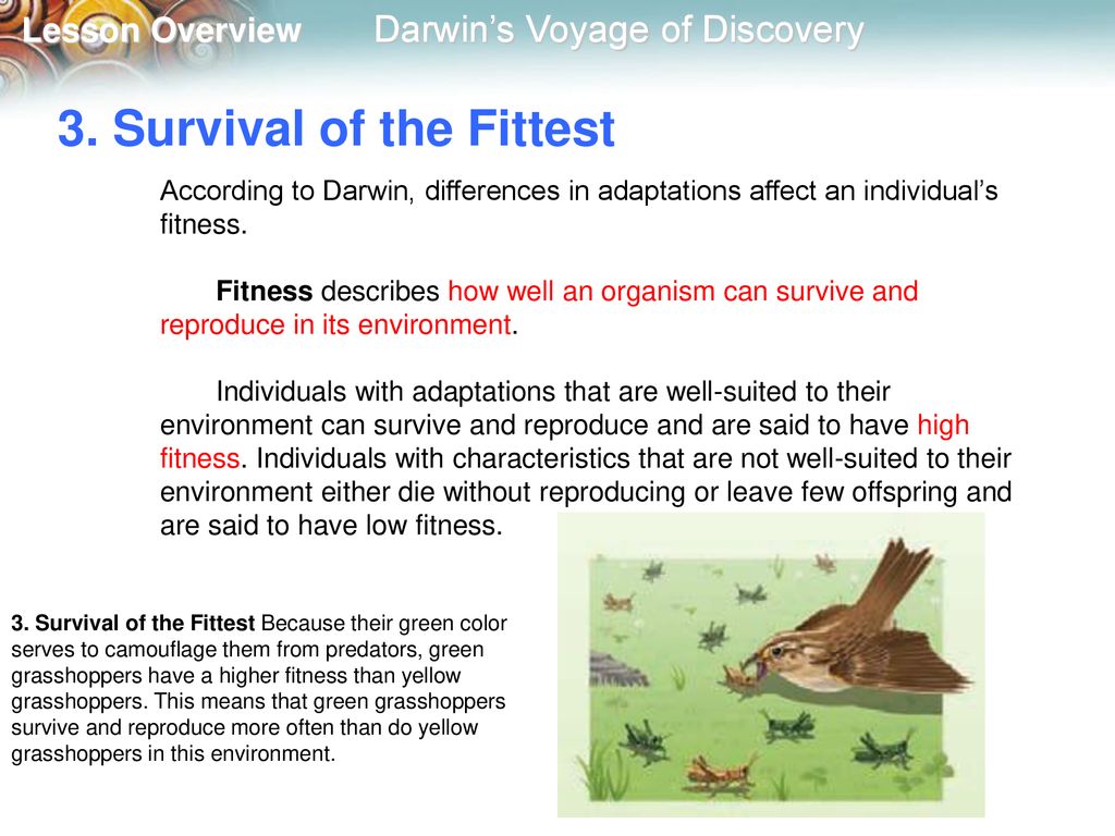 Survival of the Fittest, Overview, Quotes & Examples - Video & Lesson  Transcript