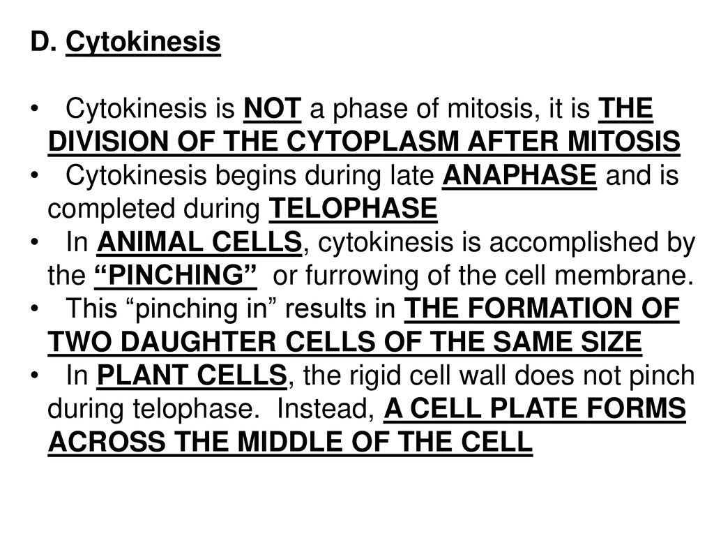 Reproduction by Asexual Means Biology Diagrams