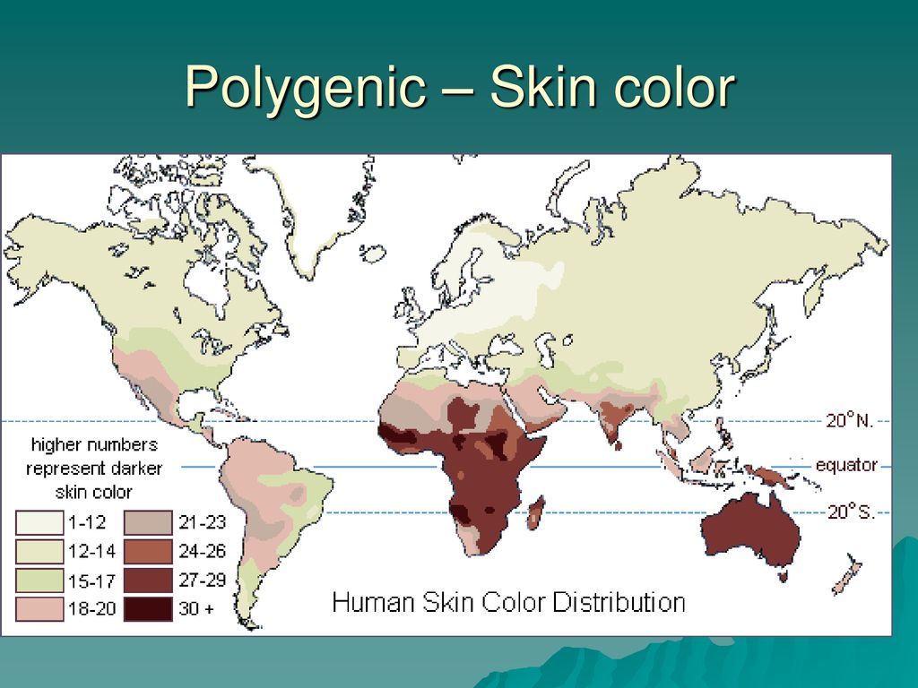 Polygenic+%E2%80%93+Skin+color.jpg