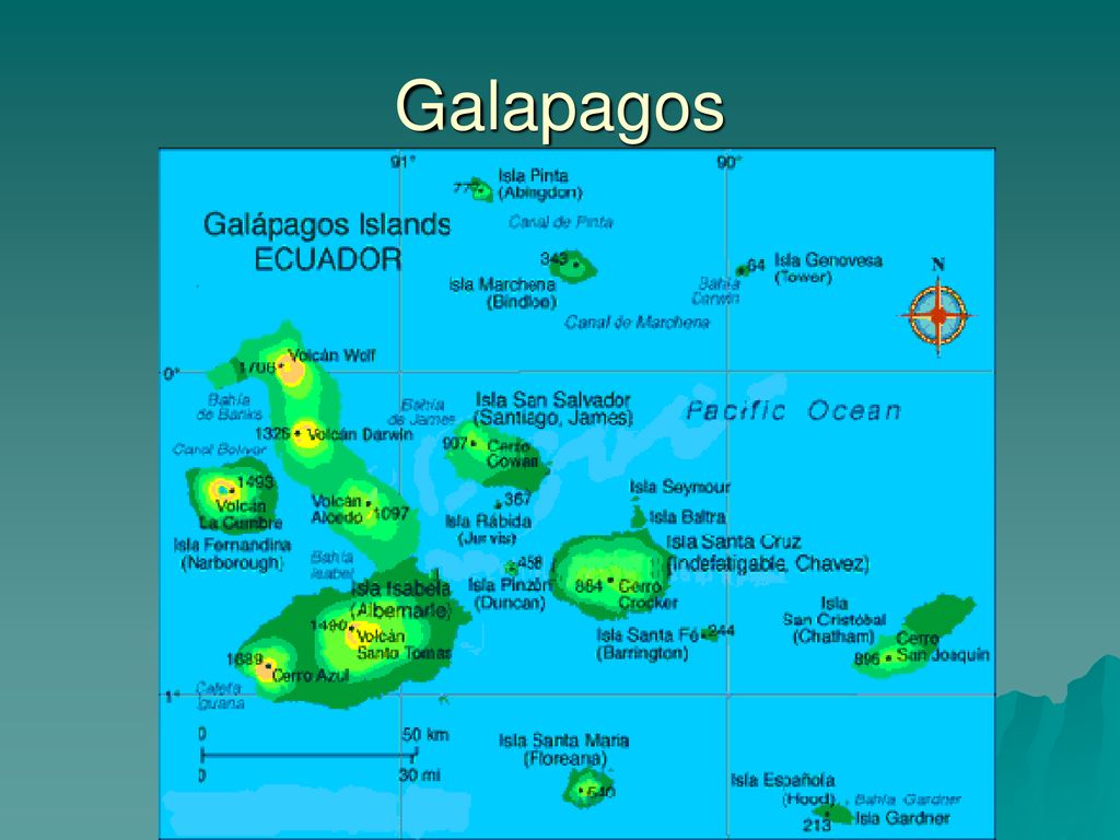 Галапагосские острова как переводится с испанского. Остров Санта Крус Галапагосские острова. Галапагосские острова на карте. Остров Галапагос на карте.