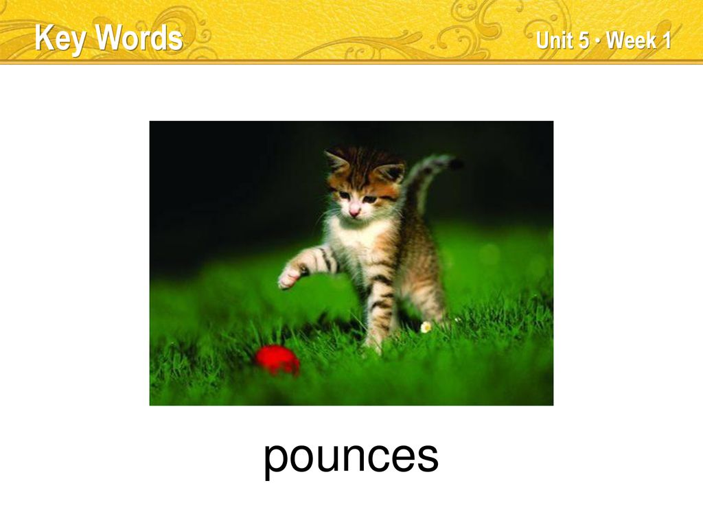 action Key Words Unit 5 Week 1 TEACHER TALK ppt download