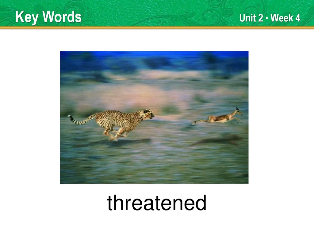 descendants Key Words Unit 2 Week 4 TEACHER TALK ppt download