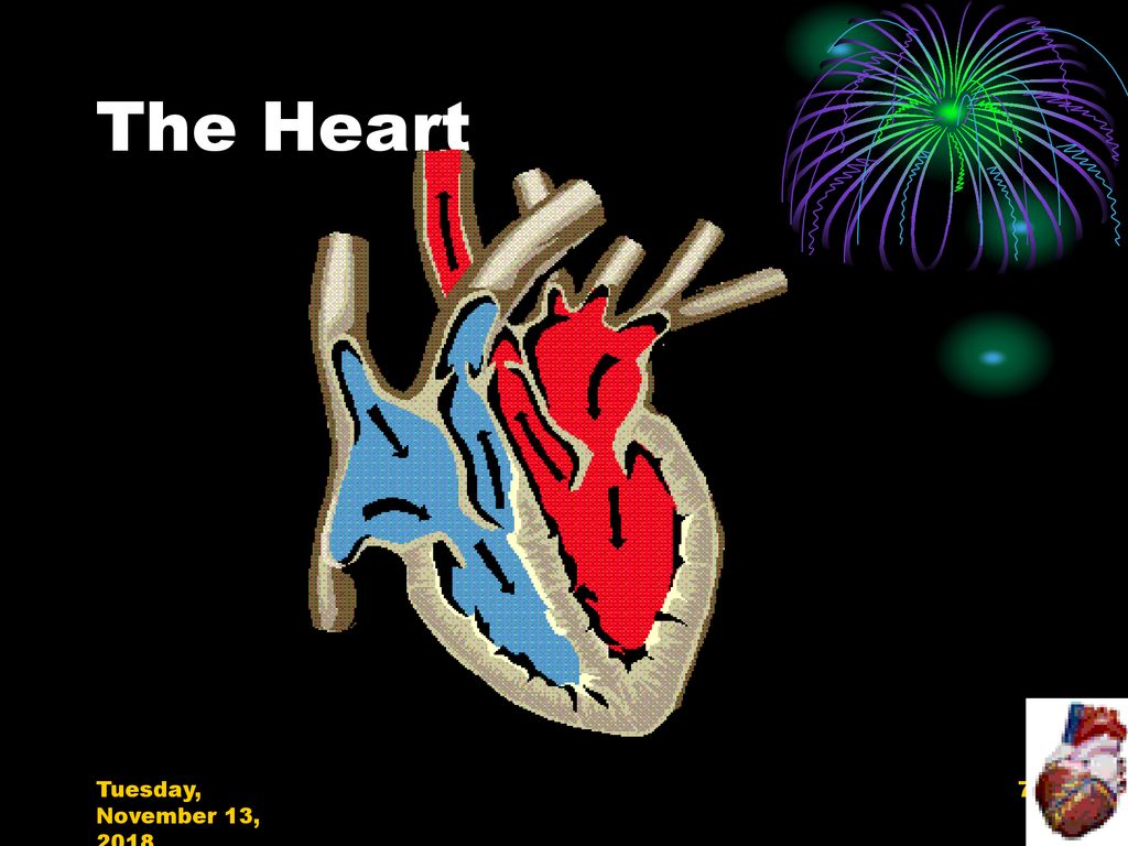 The Heart Tuesday, November 13, 2018Tuesday, November 13, 2018Tuesday, November 13, 2018