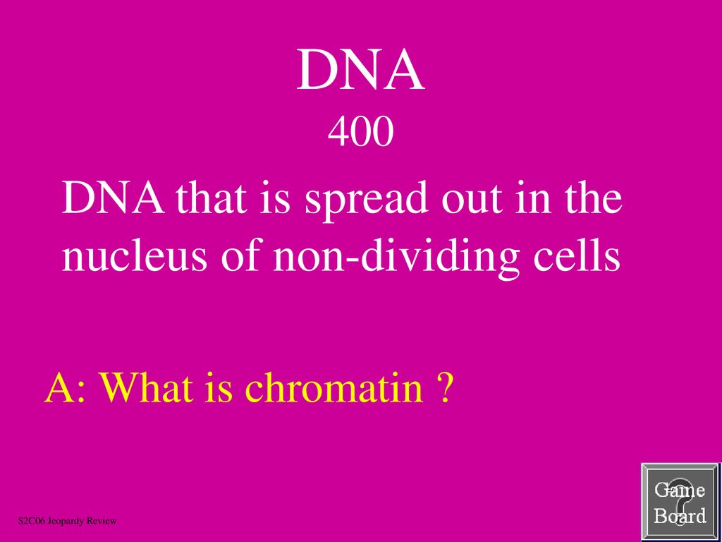 DNA 400 DNA that is spread out in the nucleus of non-dividing cells