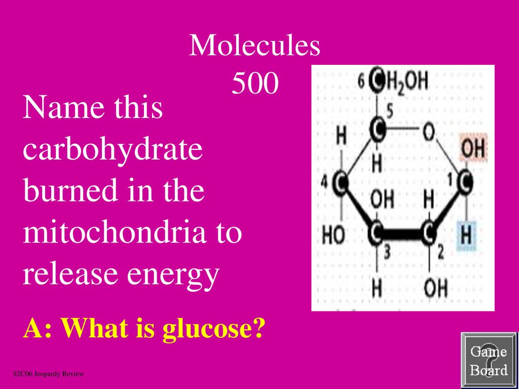 Name this carbohydrate burned in the mitochondria to release energy