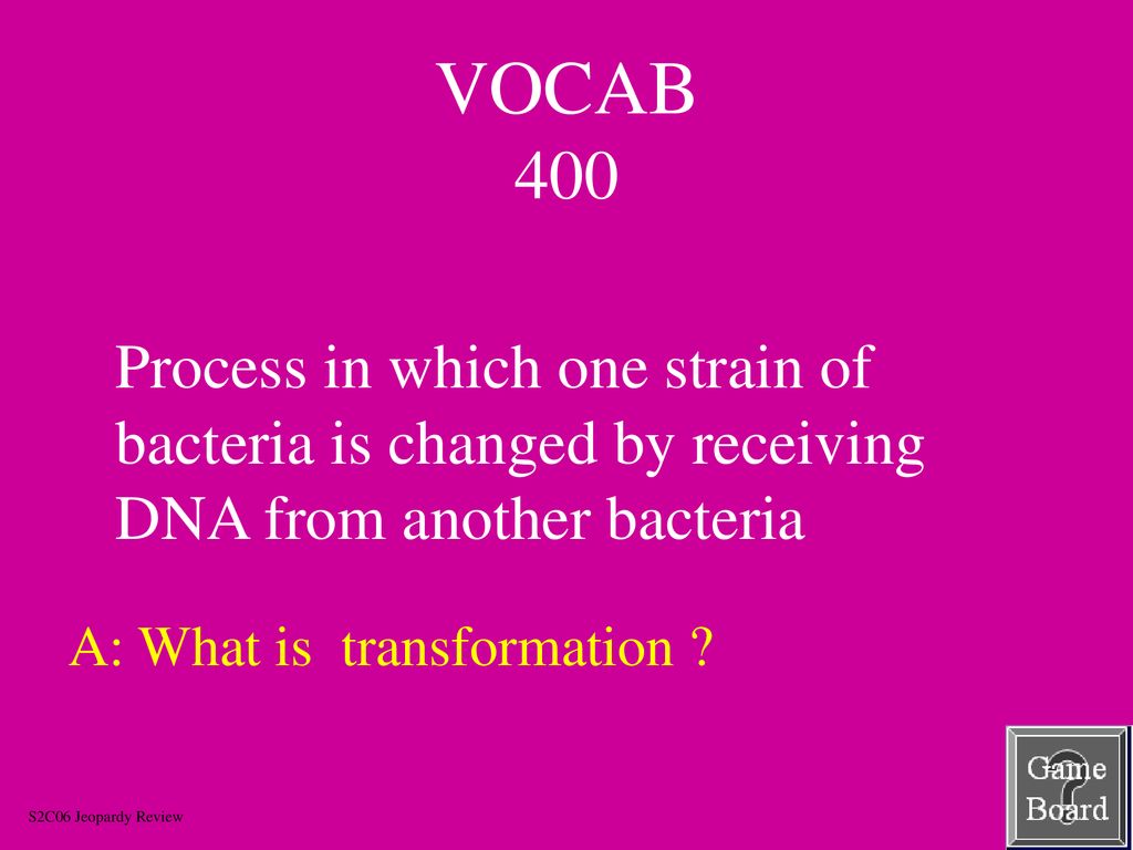 VOCAB 400 Process in which one strain of bacteria is changed by receiving DNA from another bacteria.