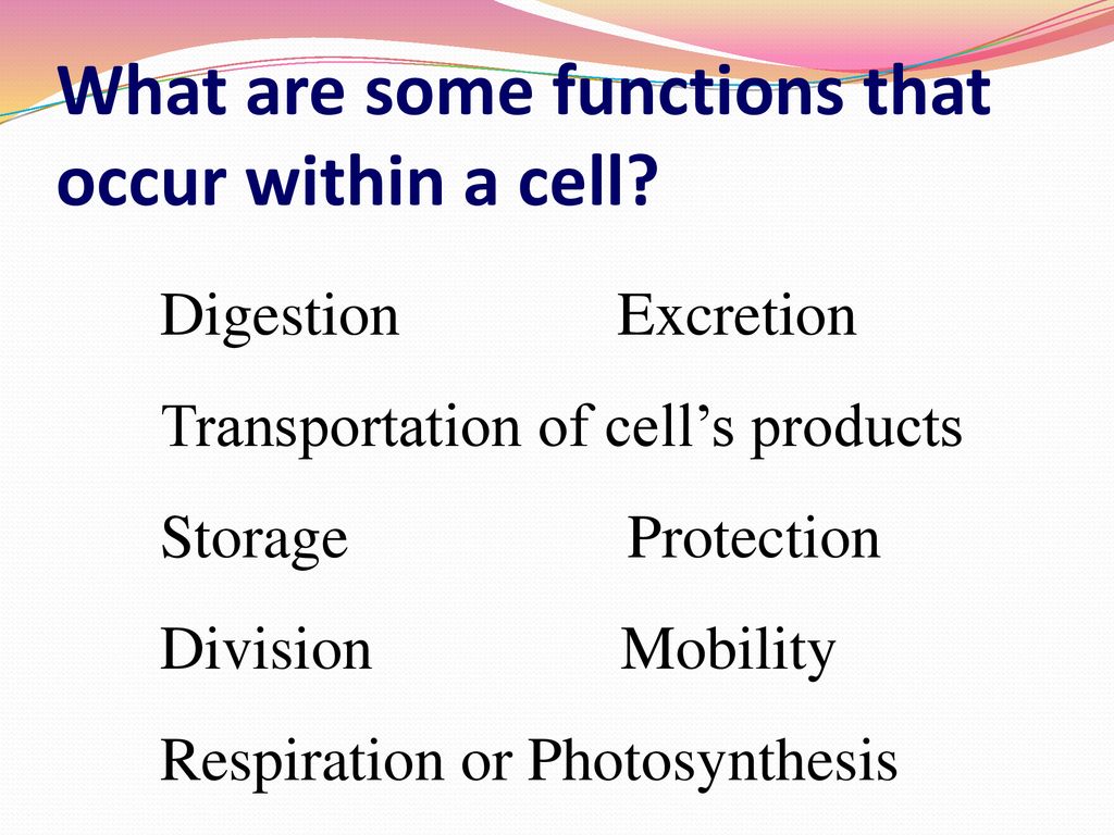 What are some functions that occur within a cell