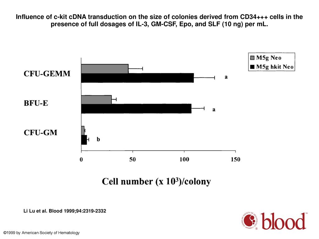 Influence of c-kit cDNA transduction on the size of colonies derived from CD34+++ cells in the presence of full dosages of IL-3, GM-CSF, Epo, and SLF (10 ng) per mL.