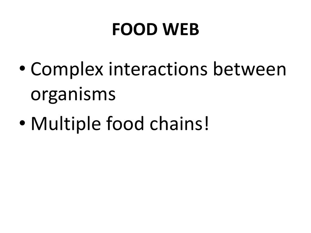 bell-ringer-3-7-2013-draw-a-food-chain-that-includes-a-producer-and-2