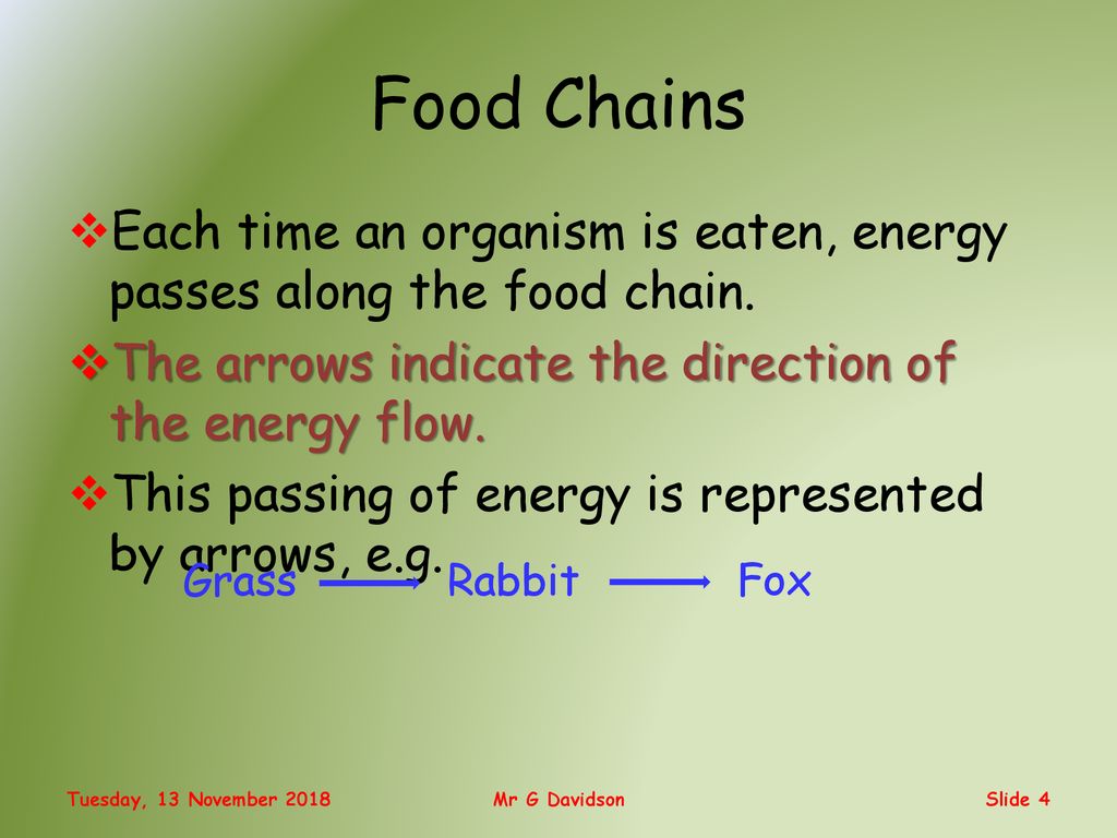 National 5 Energy In Ecosystems Mr G Davidson Ppt Download national-5-energy-in-ecosystems-mr-g-davidson-ppt-download