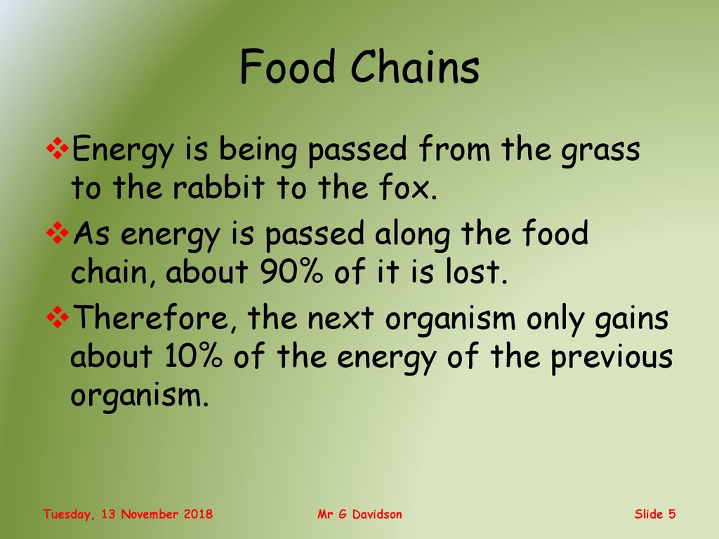 National 5 Energy In Ecosystems Mr G Davidson Ppt Download national-5-energy-in-ecosystems-mr-g-davidson-ppt-download