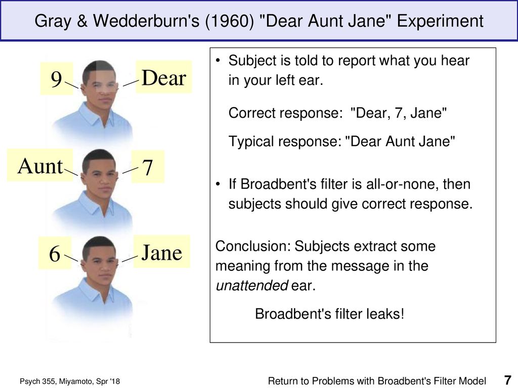 dear aunt jane experiment