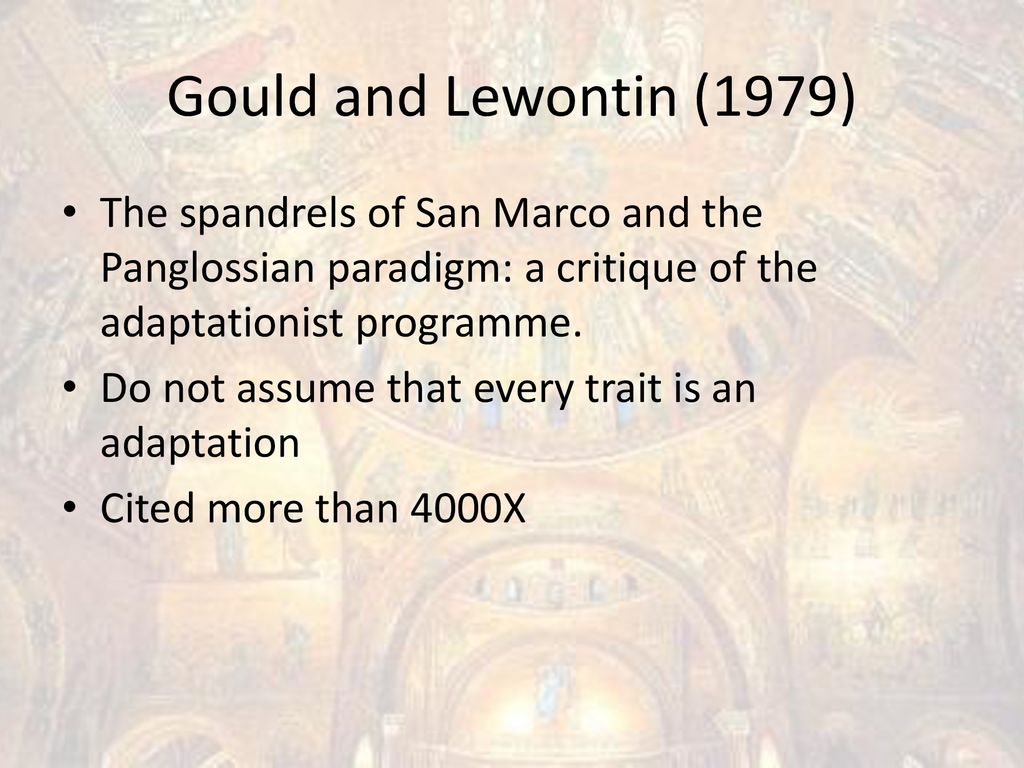 The spandrels of san marco ppt download
