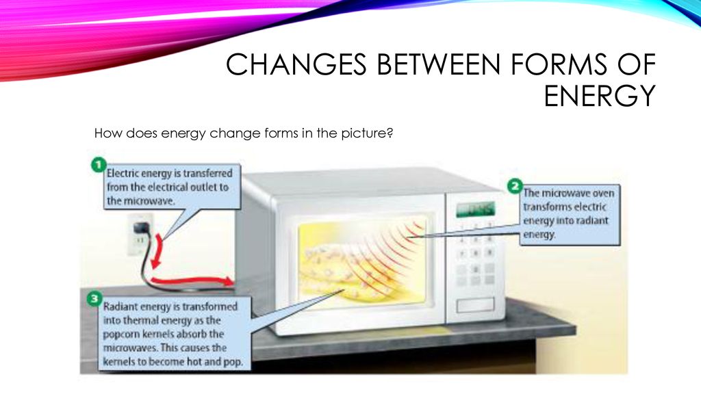 Warm Up 21 Look At The Picture Ppt Download warm-up-21-look-at-the-picture-ppt-download