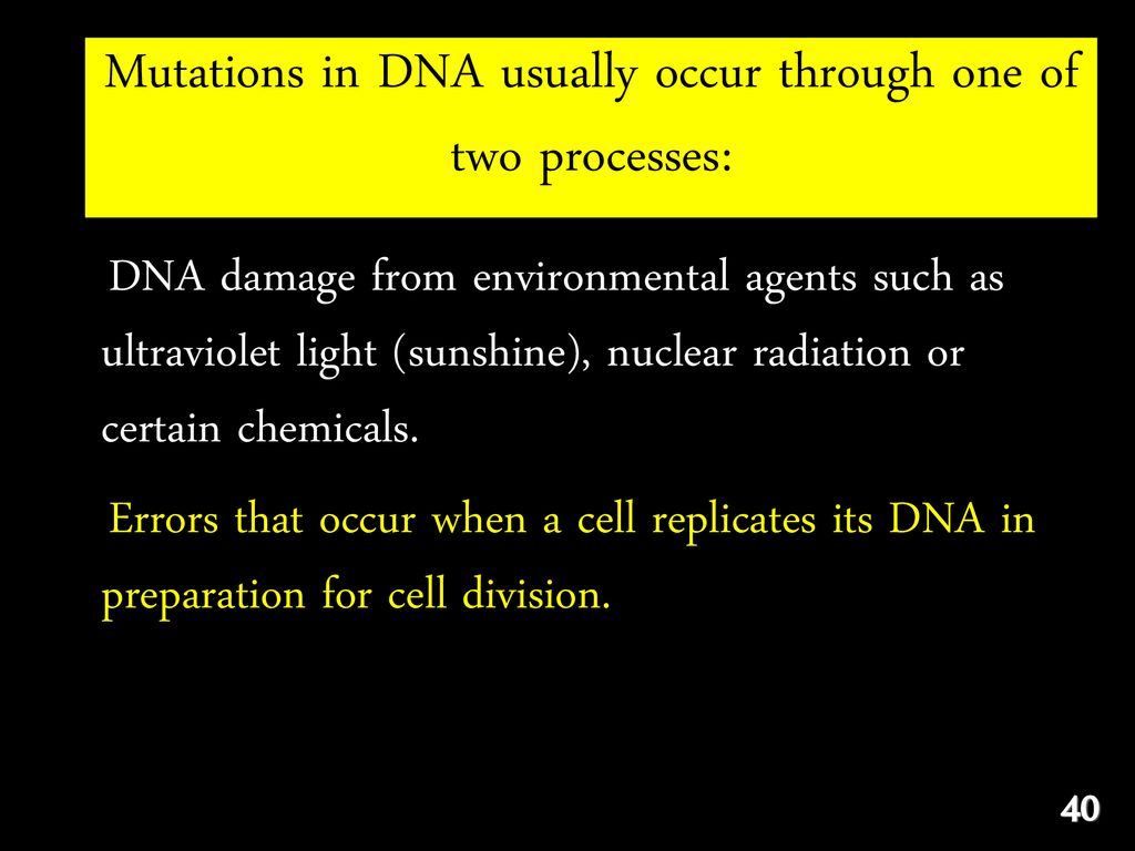 Mutations in DNA usually occur through one of two processes: