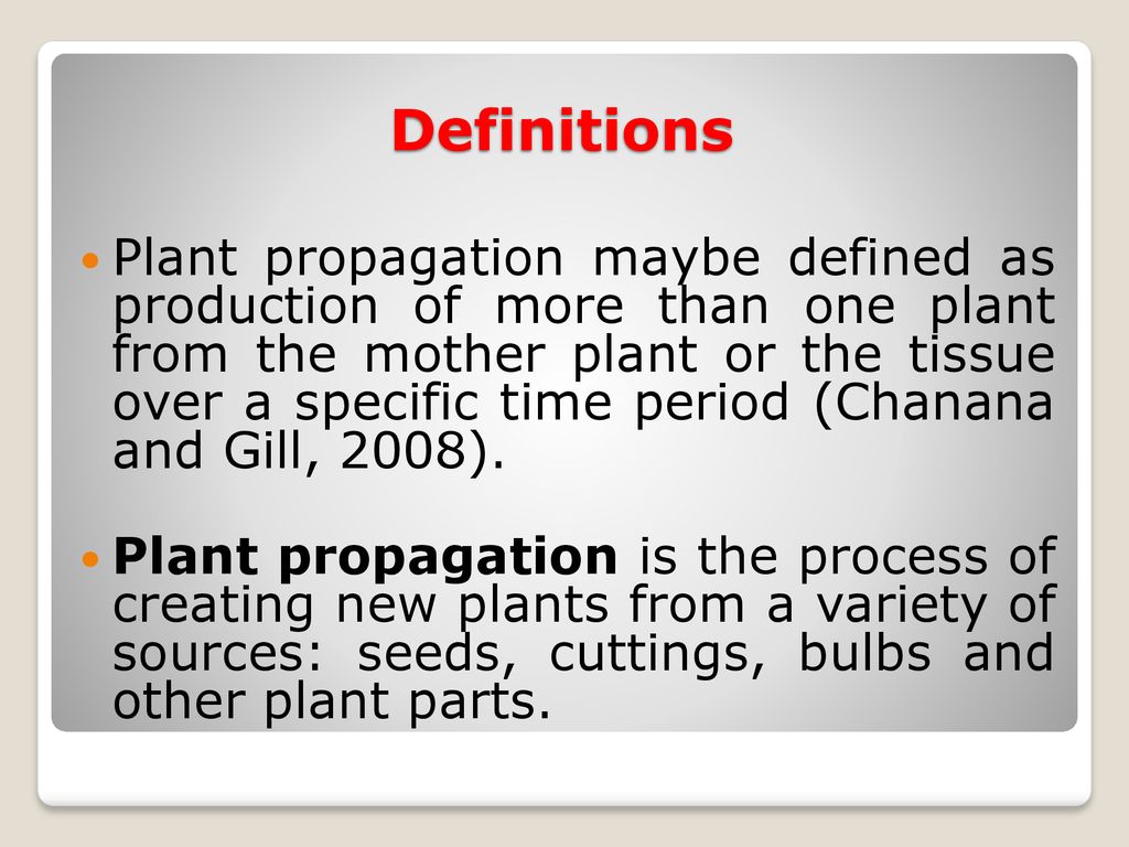 PLANT PROPAGATION AND NURSERY MANAGEMENT - ppt download
