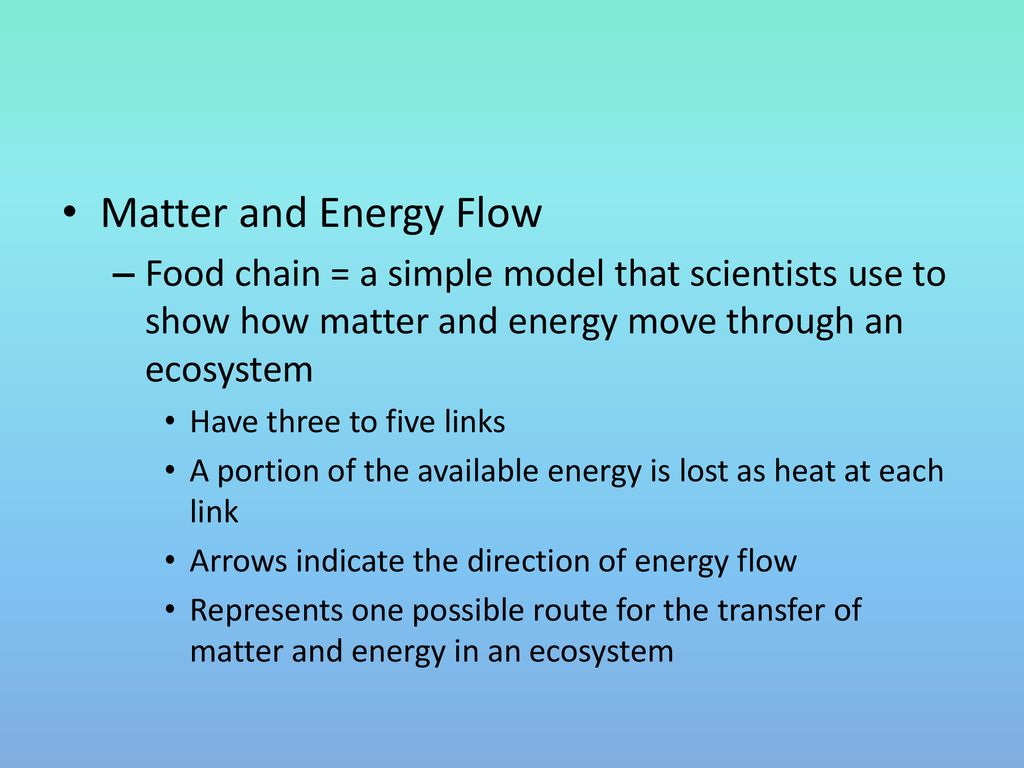 Matter and Energy Flow Food chain = a simple model that scientists use to show how matter and energy move through an ecosystem.