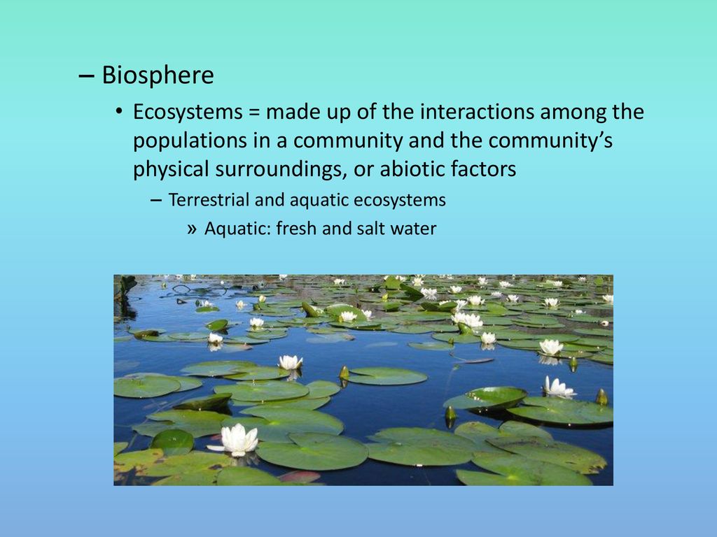 Biosphere Ecosystems = made up of the interactions among the populations in a community and the community’s physical surroundings, or abiotic factors.