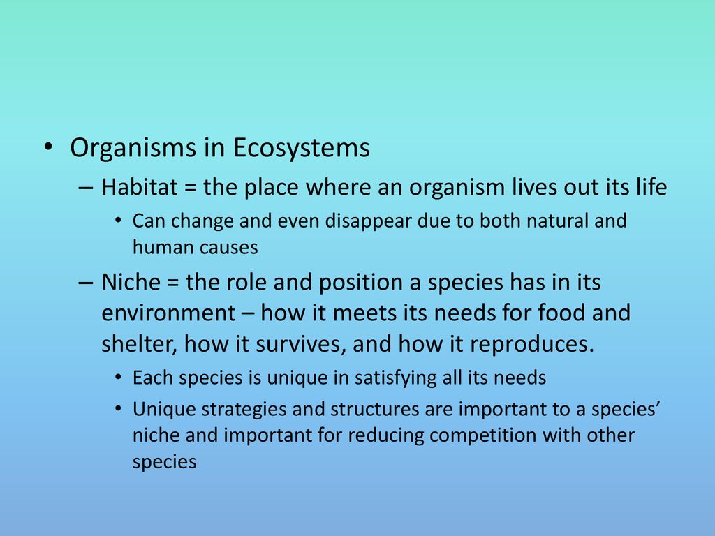 Organisms in Ecosystems