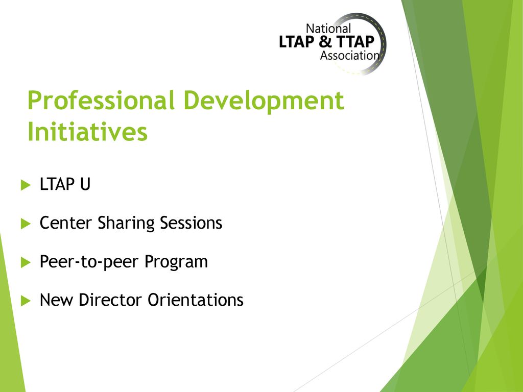 Professional Development Initiatives