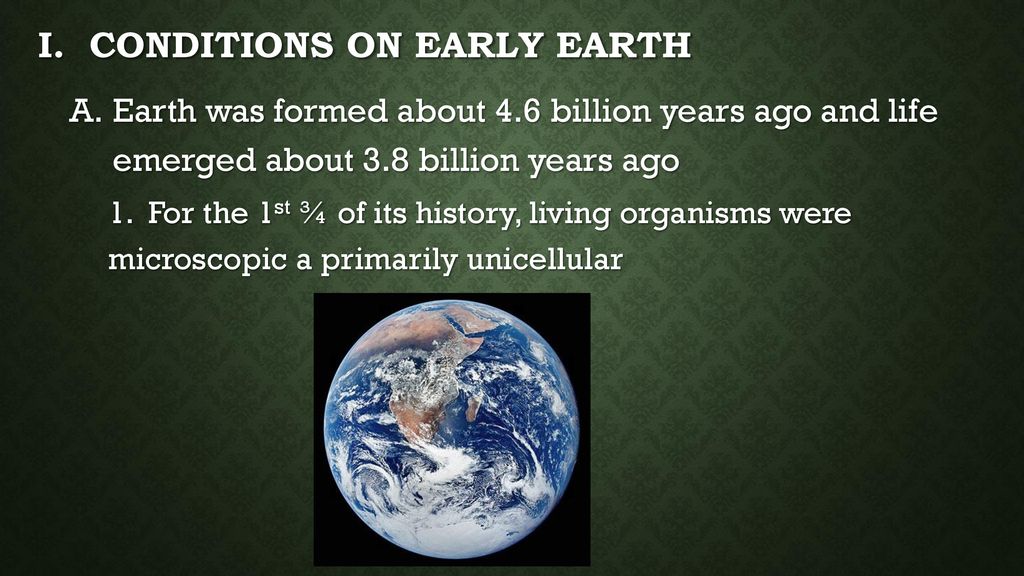 The History of life on earth - ppt download