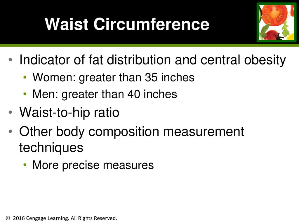 Energy Balance And Body Composition Ppt Download