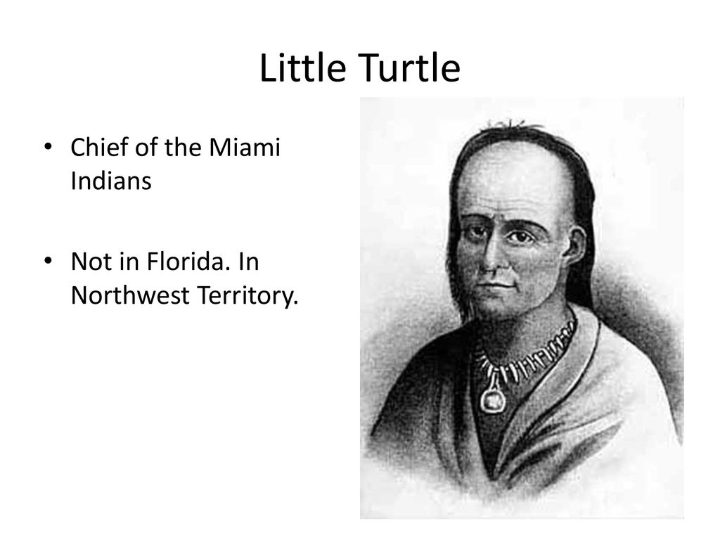 Little Turtle Chief of the Miami Indians