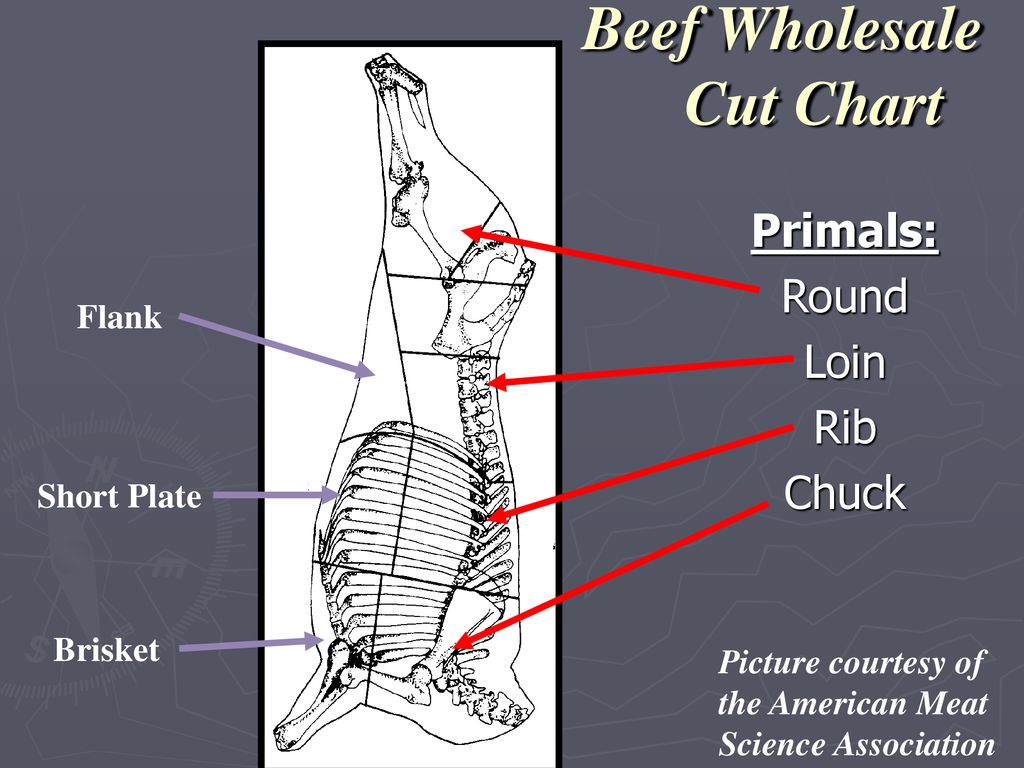 Wholesale Beef Cuts Chart