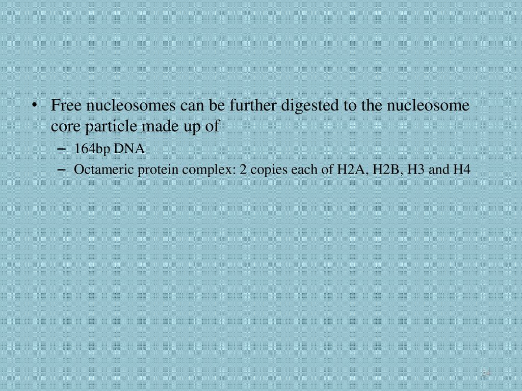 Free nucleosomes can be further digested to the nucleosome core particle made up of