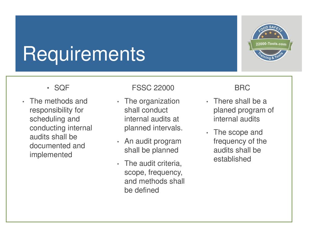 Setting Up An Internal Audit Program Ppt Download