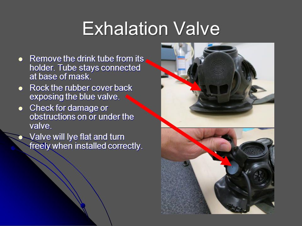 FRM40 Gas Mask Training and Inspection - ppt video online download
