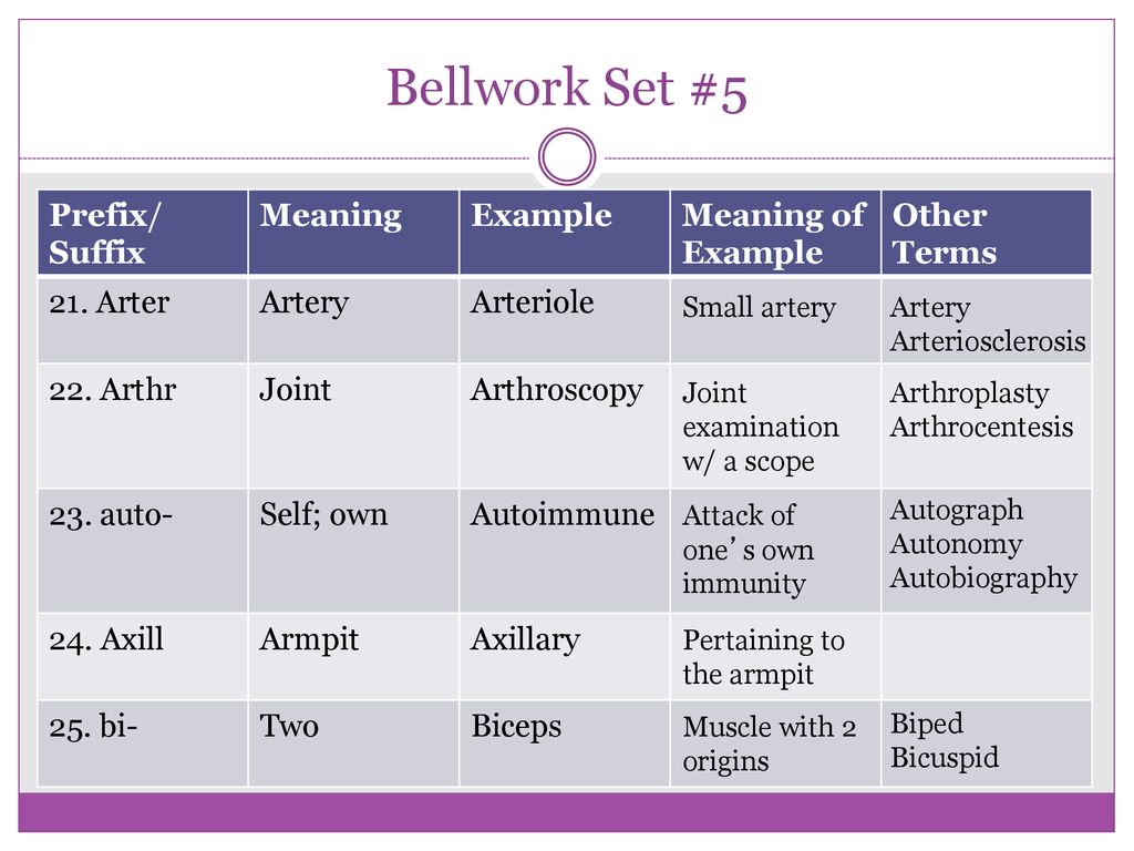 Medical Terminology Bell Work: Root Words, Prefixes, and Suffixes - ppt  download