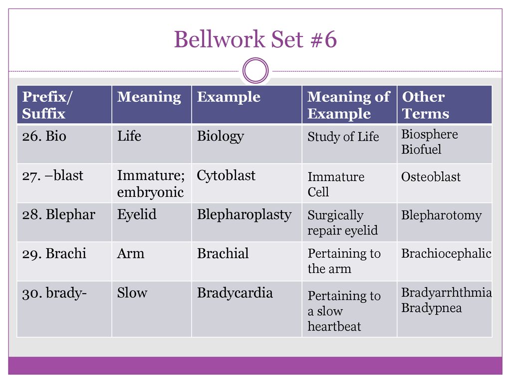 Bellwork Set #6 Prefix/ Suffix Meaning Example Meaning of Example.