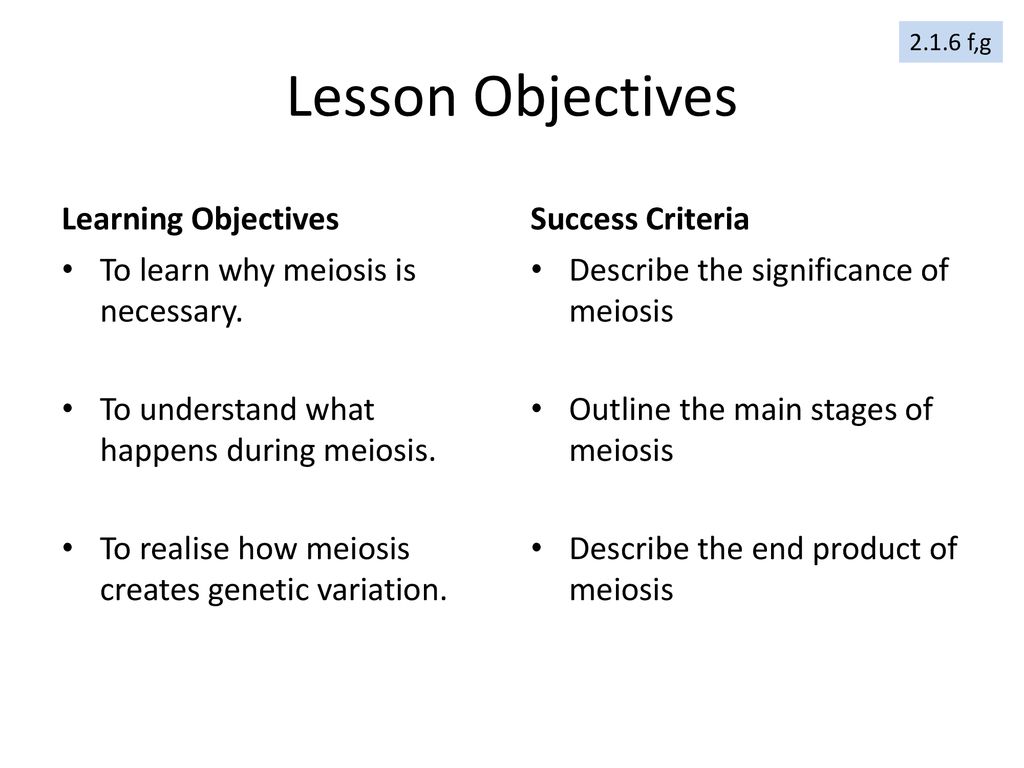 Lesson Objectives Learning Objectives Success Criteria