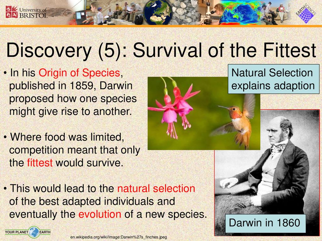 Evolution Presenter notes: Evolution is one of the most important ...