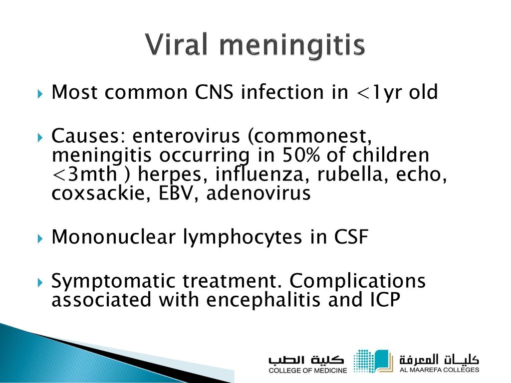 Prof. Mohammad Abduljabbar - ppt download