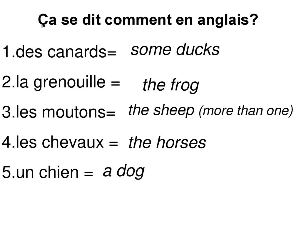 Singulier Et Pluriel Un Une Le La Des Des Les Les A The