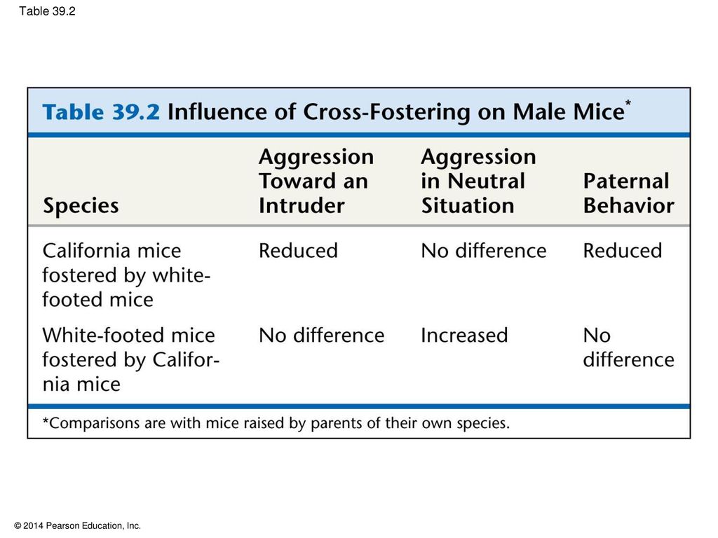 Table 39.2 Table 39.2 Influence of cross-fostering on male mice 22