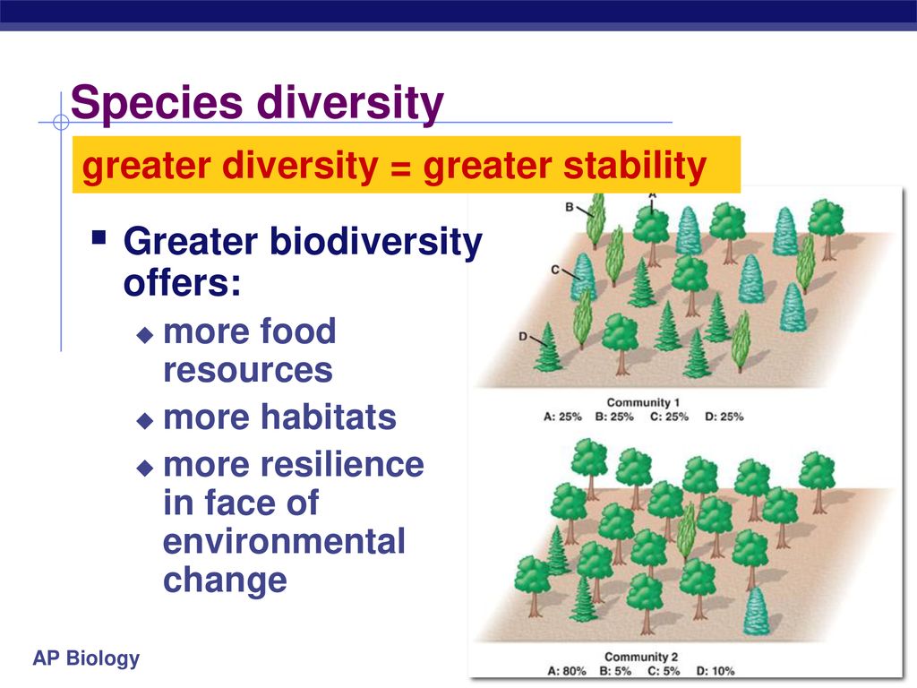 Species diversity greater diversity = greater stability