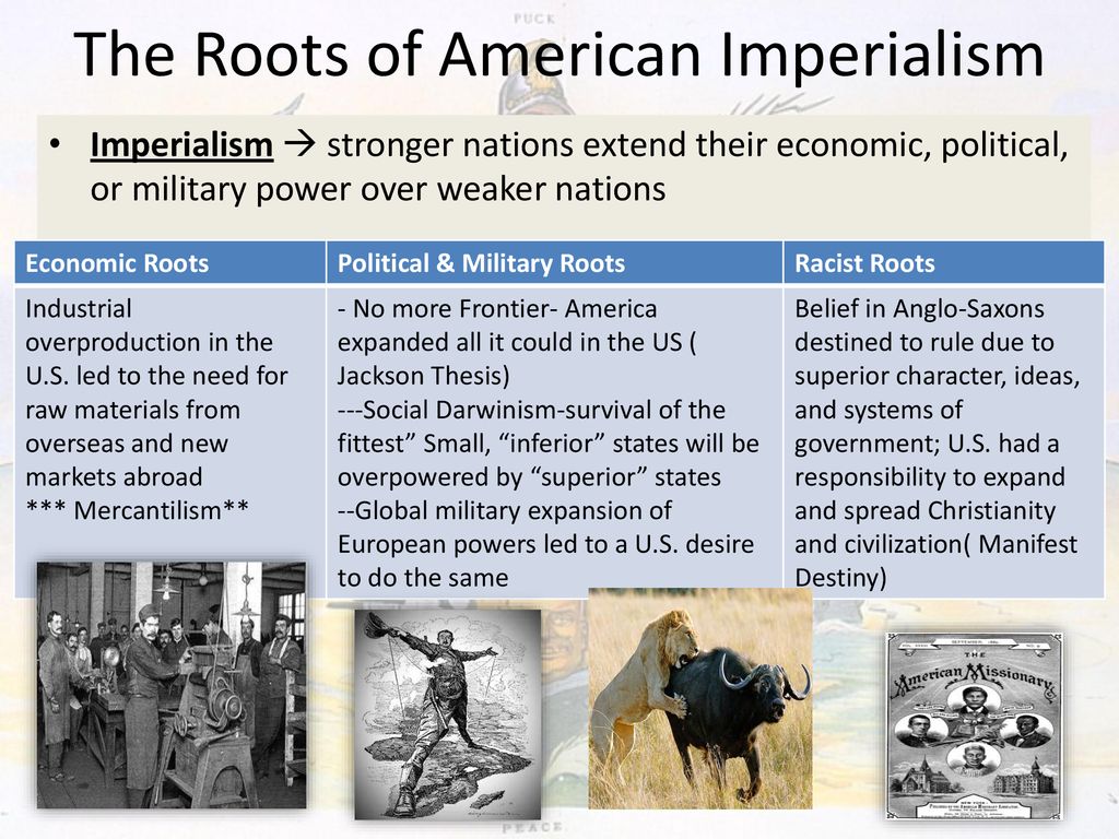 The Roots Of American Imperialism Chart