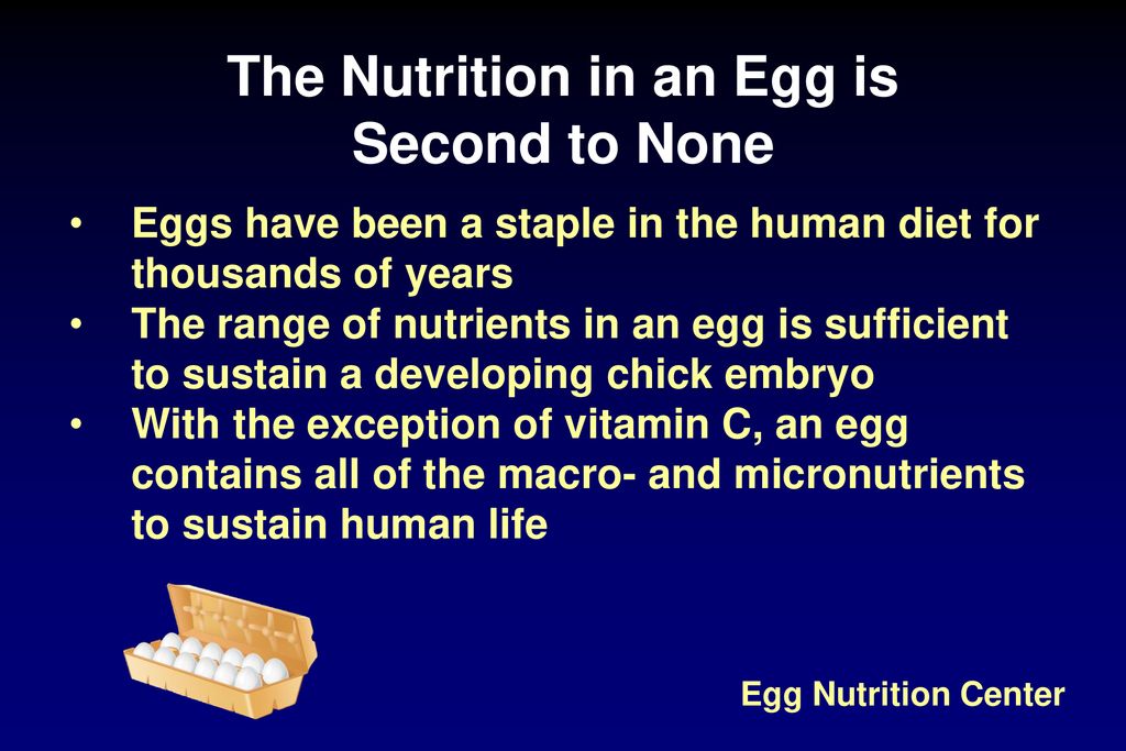 The Nutrition in an Egg is Second to None