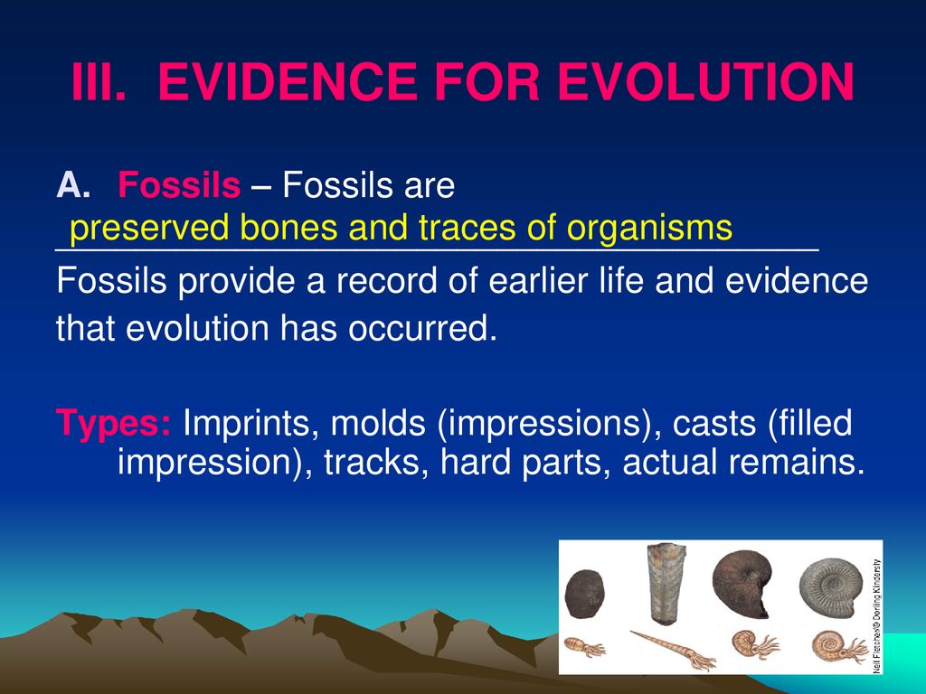 Unit 10: Evolution. - ppt download