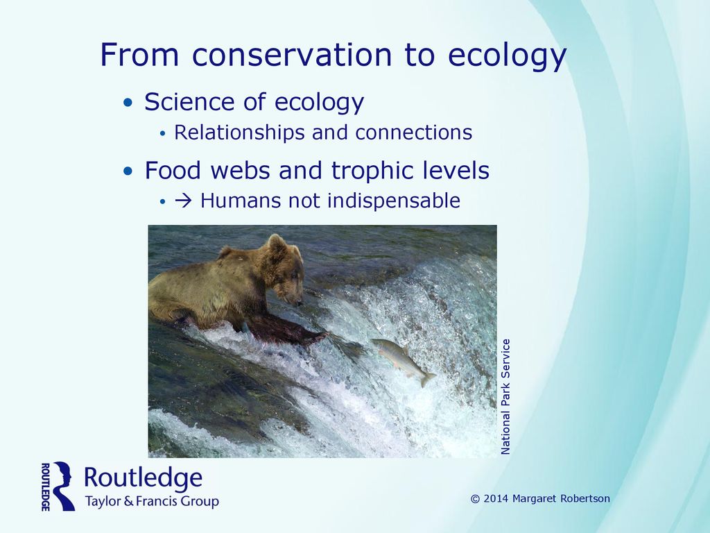 From conservation to ecology