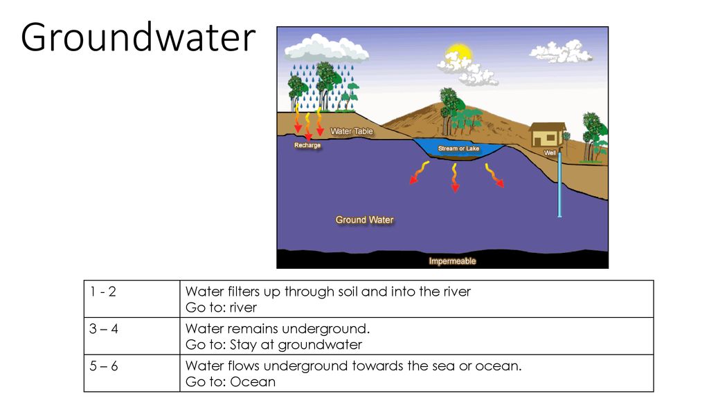 Groundwater Water filters up through soil and into the river